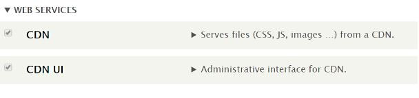 drupal_services.jpg